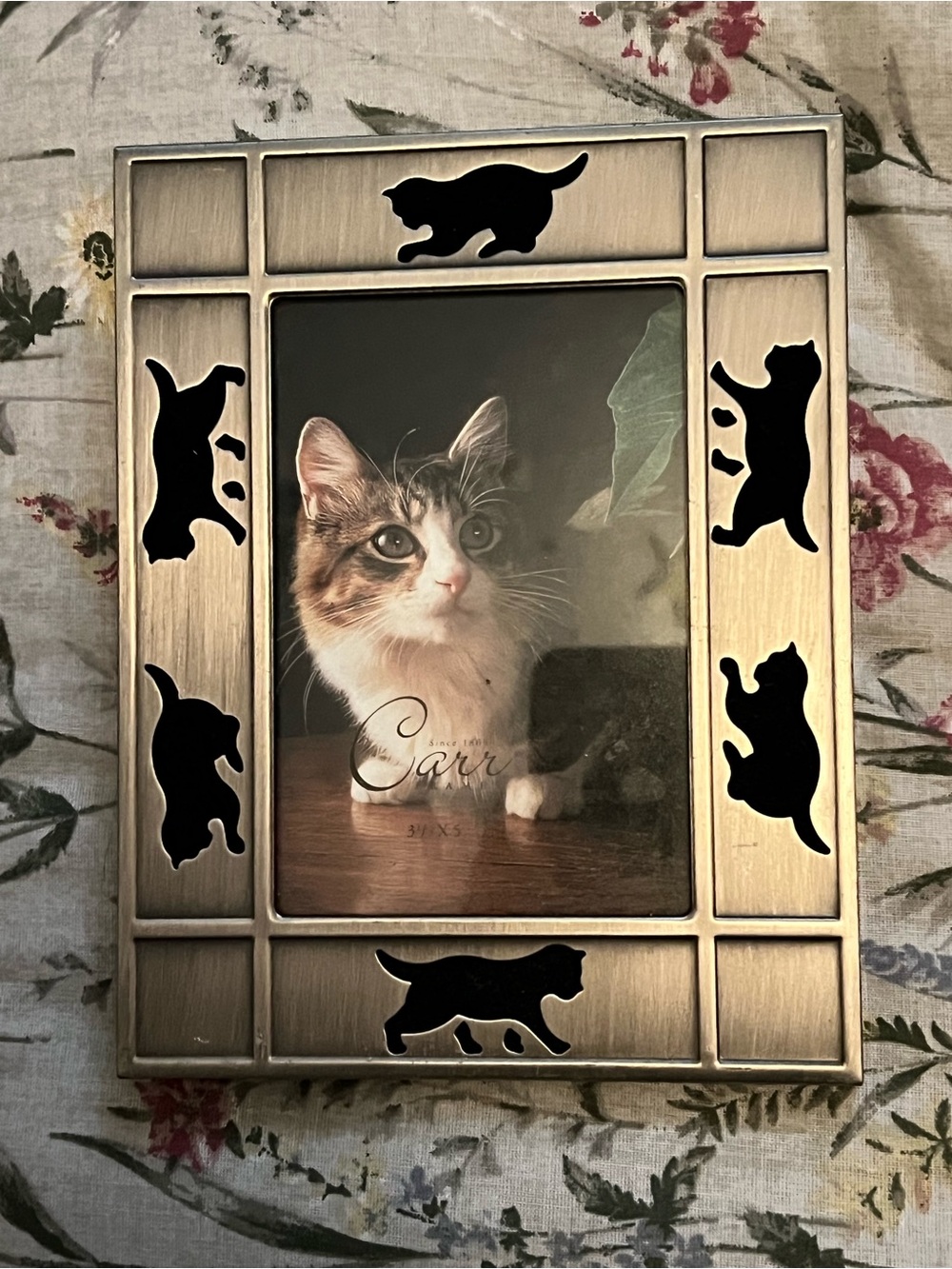 Pewter Black Cat Picture Frame NWOT